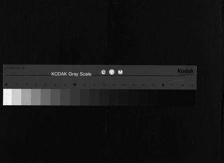 江西、安徽陈氏族谱-陈氏宗谱 [卷数杂异].pdf电子版缩略图