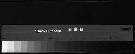 江西、福建胡氏族谱-胡氏宗谱 [残卷].pdf电子版缩略图