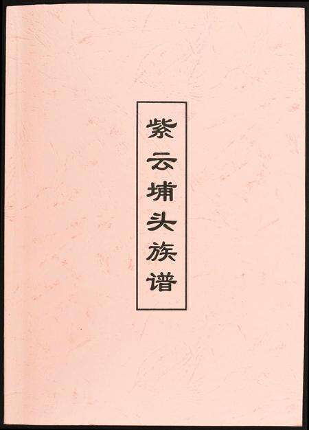 福建黄氏族谱-[黄氏]紫云埔头族谱.pdf电子版缩略图