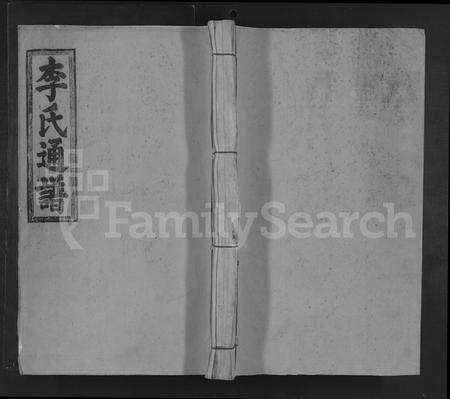 广东李氏族谱-陇西李氏续修族谱 [不分卷].pdf电子版缩略图