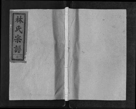 江西、福建林氏族谱-林氏宗谱[总卷数不详].pdf电子版缩略图