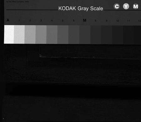 江西、广东刘氏族谱-版塘刘氏族谱 [不分卷].pdf电子版缩略图