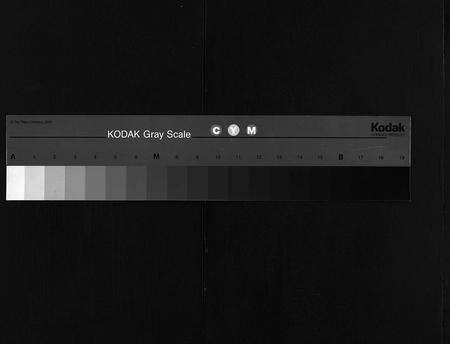 河南梅氏族谱-梅氏宗谱 [叙事9卷,系谱19卷,及首1卷].pdf电子版缩略图