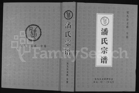 河南潘氏族谱-潘氏宗谱 _ 复九公支系.pdf电子版缩略图