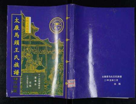 河南王氏族谱-太康马头王氏族谱 [不标卷数].pdf电子版缩略图