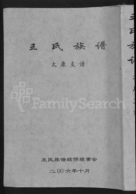 河南王氏族谱-王氏族谱 _ 太康支谱 [不分卷].pdf电子版缩略图