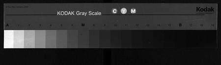 江西、福建吴氏族谱-吴氏族谱 [11卷,首1卷].pdf电子版缩略图