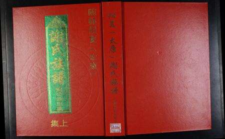 河南谢氏族谱-陈郡阳夏(太康)谢氏族谱 _ 安公故里篇 [上下集].pdf电子版缩略图