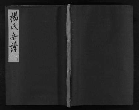 江西、福建杨氏族谱-杨氏宗谱 [卷数不详].pdf电子版缩略图