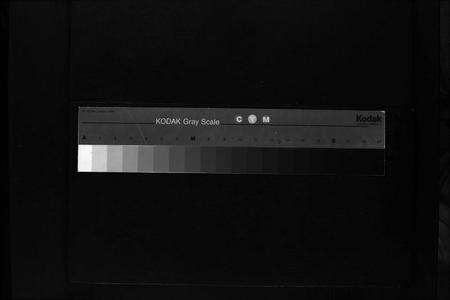 广东张氏族谱-张氏族谱 [不分卷].pdf电子版缩略图