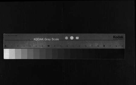 河南张氏族谱-张氏宗谱 [29卷,含首1卷].pdf电子版缩略图