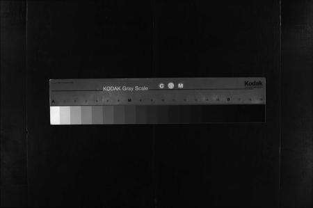 河南张氏族谱-张氏宗谱 [各房分卷,首11卷].pdf电子版缩略图