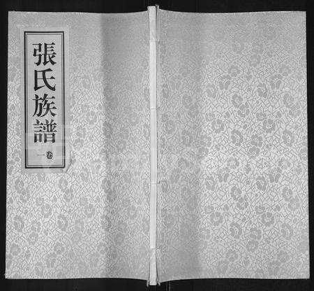 河南张氏族谱-张氏族谱 [4卷].pdf电子版缩略图