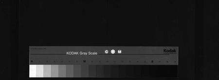 广东周氏族谱-周氏族谱[11卷,首1卷].pdf电子版缩略图