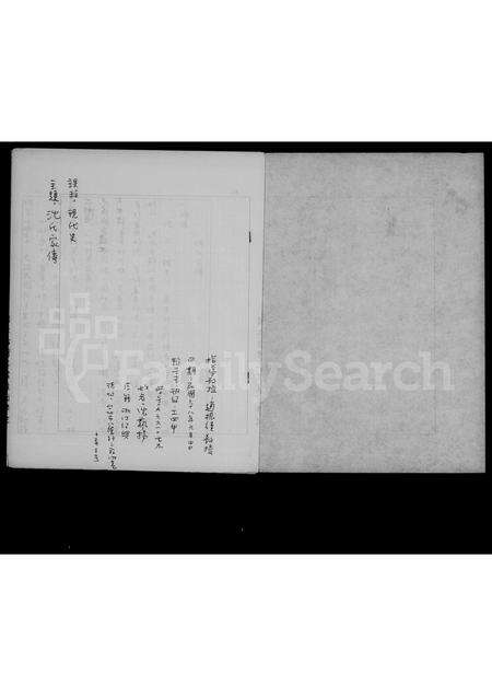 nan沈氏族谱-沈氏家传.pdf电子版缩略图