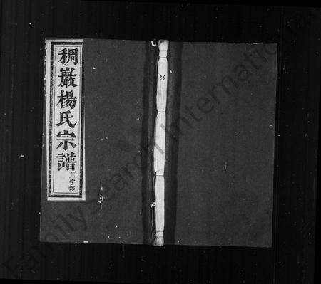 义乌杨氏族谱-稠巖杨氏合族宗谱 ： [37卷](别名：义乌稠巖杨氏宗谱).pdf电子版缩略图