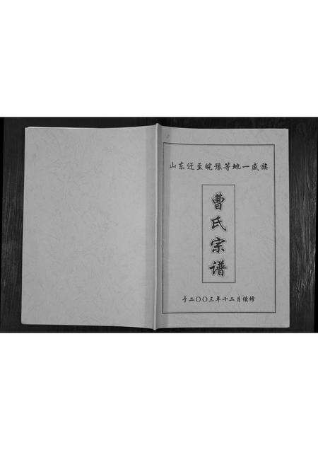 安徽曹氏族谱-曹氏宗谱.pdf电子版缩略图