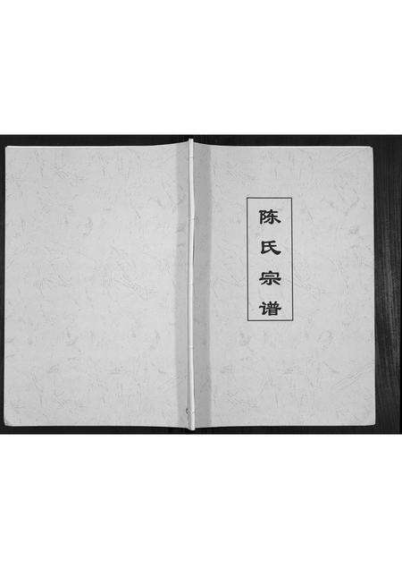 安徽陈氏族谱-陈氏宗谱.pdf电子版缩略图