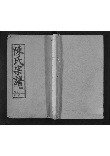 安徽陈氏族谱-陈氏宗谱[57卷,首1卷,末2卷].pdf电子版缩略图