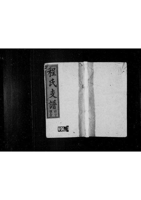 安徽程氏族谱-程氏支谱 [9卷,首1卷].pdf电子版缩略图