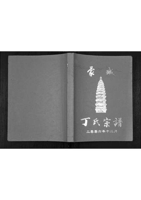 安徽丁氏族谱-丁氏宗谱[不分卷].pdf电子版缩略图