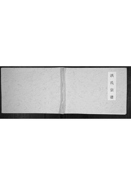 安徽洪氏族谱-洪氏宗谱.pdf电子版缩略图