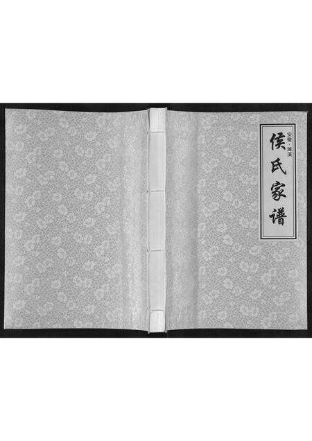 安徽侯氏族谱-濉溪候氏家谱[不分卷].pdf电子版缩略图