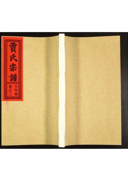 安徽贾氏族谱-贾氏宗谱.pdf电子版缩略图