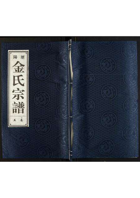 安徽金氏族谱-金氏宗谱.pdf电子版缩略图