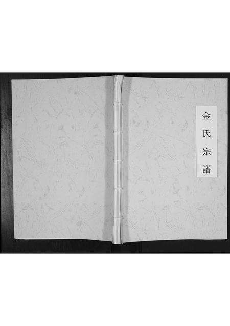 安徽金氏族谱-金氏家谱[不分卷].pdf电子版缩略图