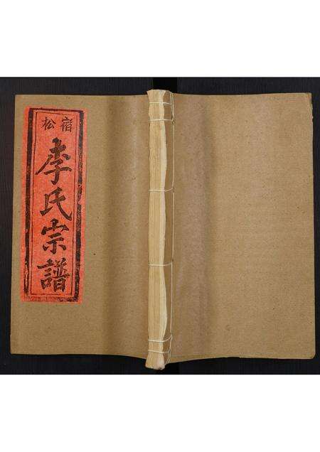 安徽李氏族谱-李氏宗谱.pdf电子版缩略图