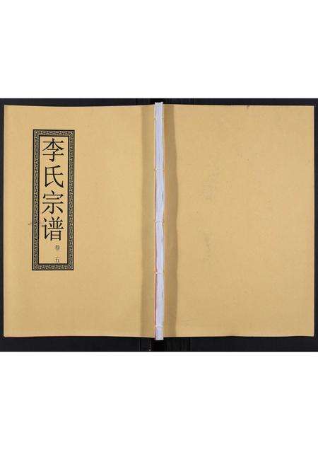 安徽李氏族谱-李氏宗谱[5卷].pdf电子版缩略图
