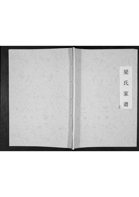 安徽梁氏族谱-梁氏家谱[不分卷].pdf电子版缩略图