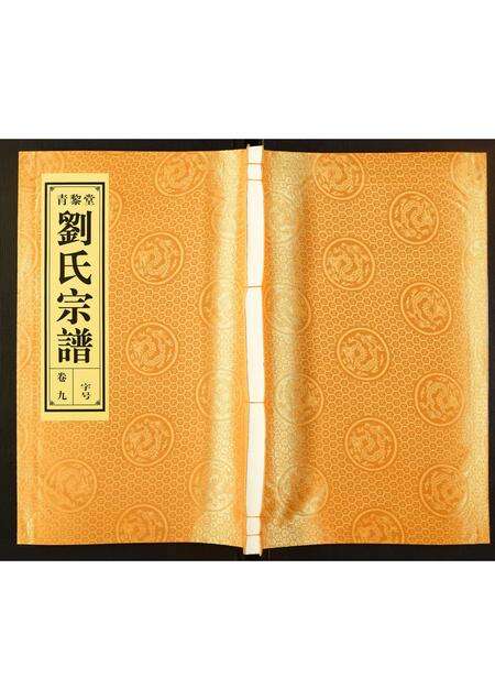 安徽刘氏族谱-刘氏宗谱.pdf电子版缩略图