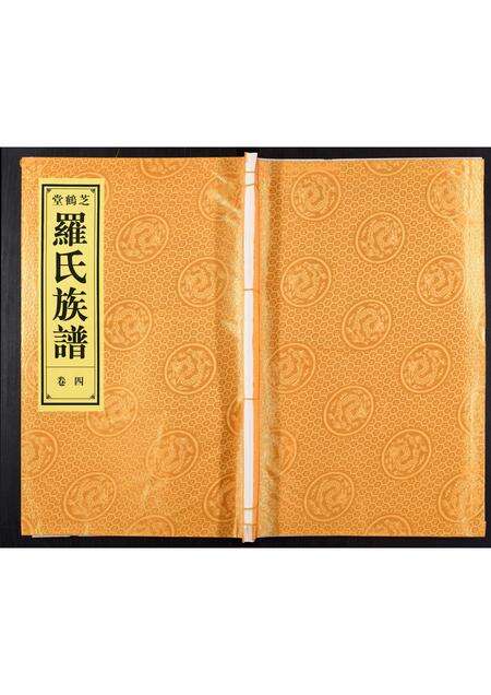 安徽罗氏族谱-罗氏宗谱[4卷].pdf电子版缩略图