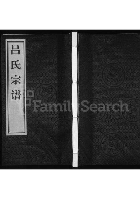 安徽吕氏族谱-吕氏宗谱.pdf电子版缩略图