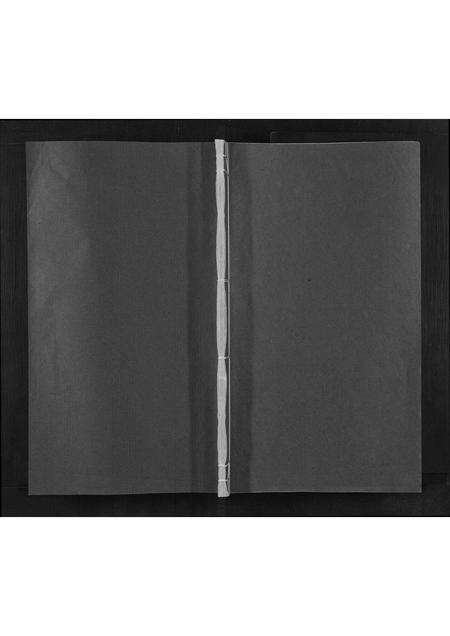 安徽倪氏族谱-倪氏族谱[不分卷].pdf电子版缩略图