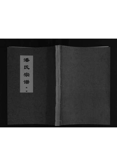 安徽潘氏族谱-潘氏宗谱.pdf电子版缩略图