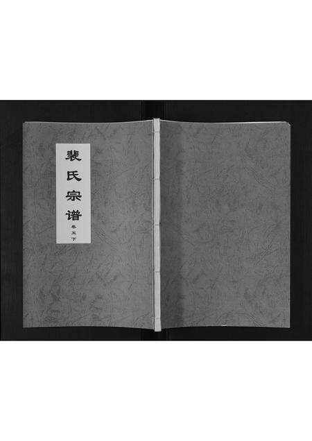 安徽裴氏族谱-裴氏宗谱[6卷].pdf电子版缩略图