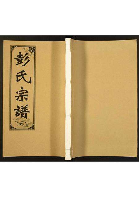 安徽彭氏族谱-彭氏宗谱.pdf电子版缩略图