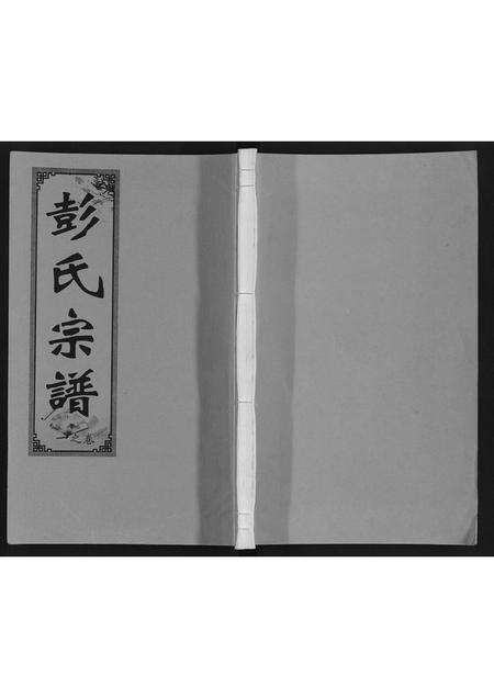 安徽彭氏族谱-彭氏支谱.pdf电子版缩略图