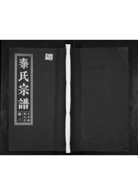 安徽秦氏族谱-秦氏宗谱.pdf电子版缩略图