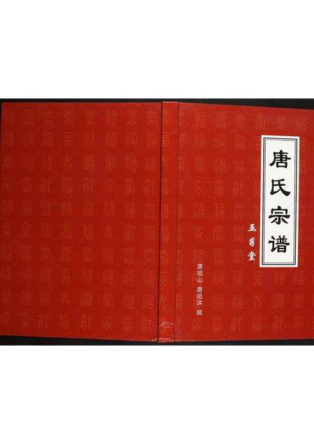 安徽唐氏族谱-唐氏宗谱.pdf电子版缩略图