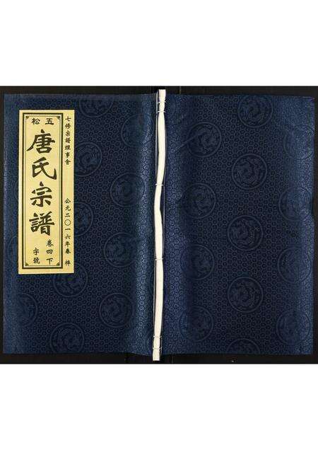 安徽唐氏族谱-唐氏宗谱.pdf电子版缩略图