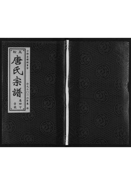 安徽唐氏族谱-唐氏宗谱.pdf电子版缩略图