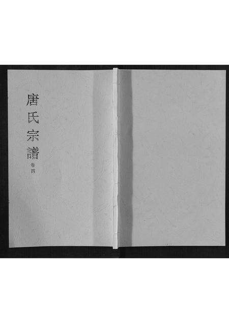 安徽唐氏族谱-唐氏宗谱[4卷].pdf电子版缩略图