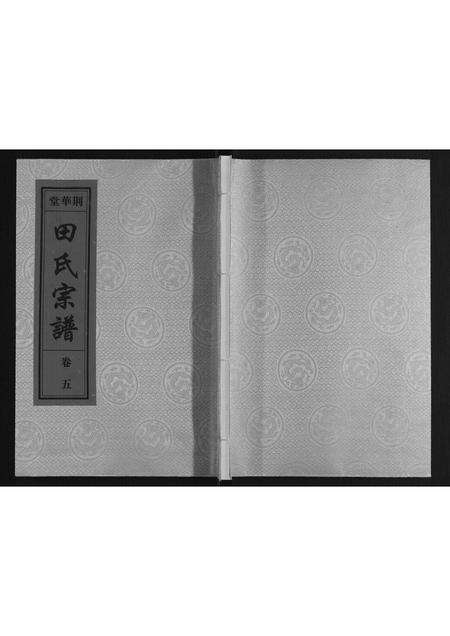 安徽田氏族谱-田氏宗谱.pdf电子版缩略图