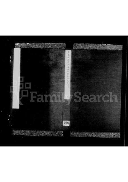 安徽汪氏族谱-休宁西门汪氏大公房挥佥公支谱 [9卷].pdf电子版缩略图