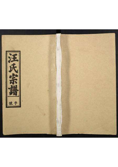 安徽汪氏族谱-汪氏宗谱.pdf电子版缩略图