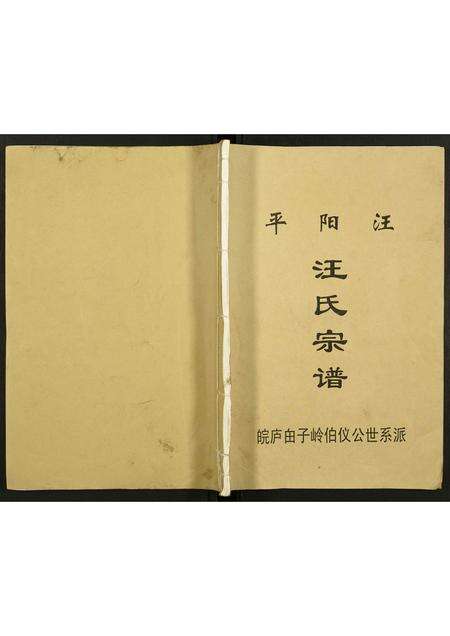 安徽汪氏族谱-汪氏宗谱.pdf电子版缩略图